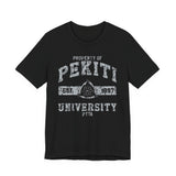 Pekiti University Cotton Shirt (Various Colors)