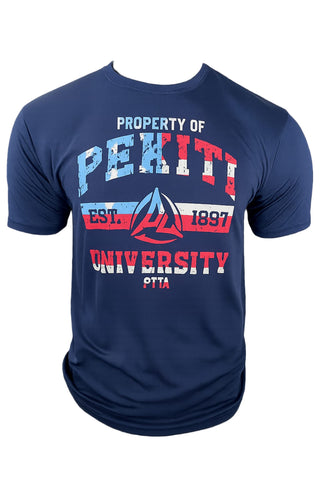 Pekiti University USA Flag DriFit Tee